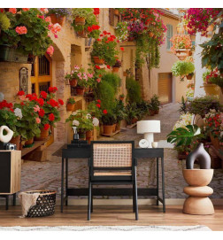 Wall Mural - The Alley in Spello (Italy)