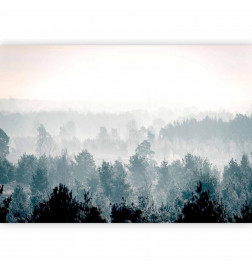 Fototapet - Winter Forest