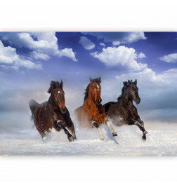 Foto tapete - Horses in the Snow