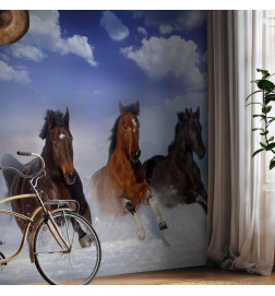 Fototapetti - Horses in the Snow