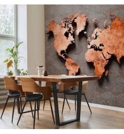 Mural de parede - Copper Map