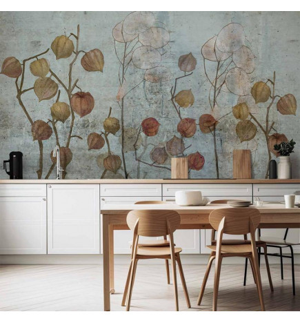 Fototapeta - Painted Lunaria