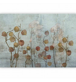Fototapeta - Painted Lunaria