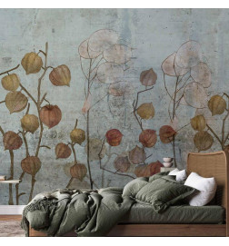 Fototapete - Painted Lunaria