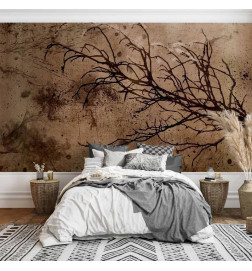 Papier peint - Rickety Cherry Tree