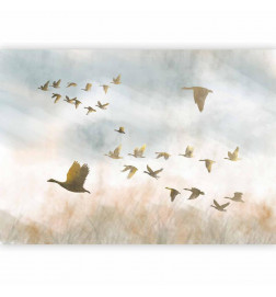 Fototapete - Golden Geese