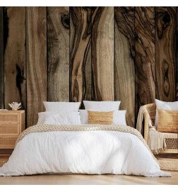 Fototapeta - Olive Wood