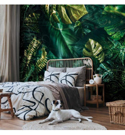 Fotomural - Emerald Jungle