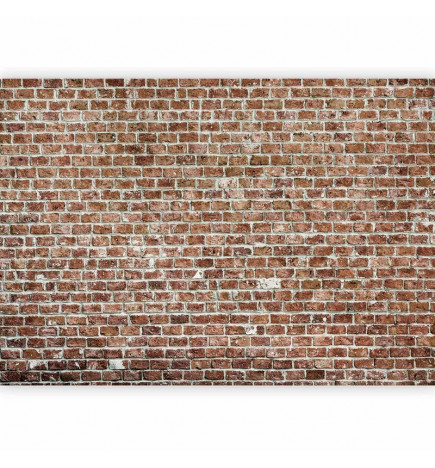 Mural de parede - Old Dominion