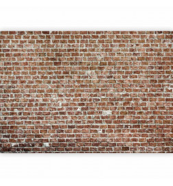 Mural de parede - Old Dominion