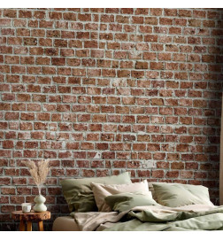 Fototapete - Old Dominion