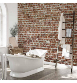 Fototapeet - Old Dominion