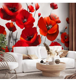 Carta da parati - Poppies in the Moonlight