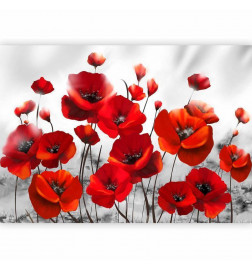 Fototapet - Poppies in the Moonlight