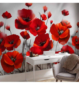 Fototapete - Poppies in the Moonlight