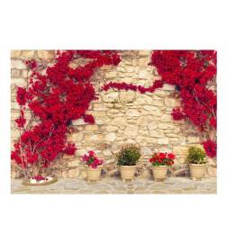 Fotomurale con i fiori rossi sul muro - Arredalacasa
