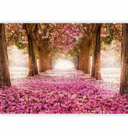 Fototapete - Pink grove