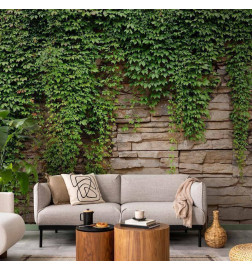 Fotomural - Ivy wall