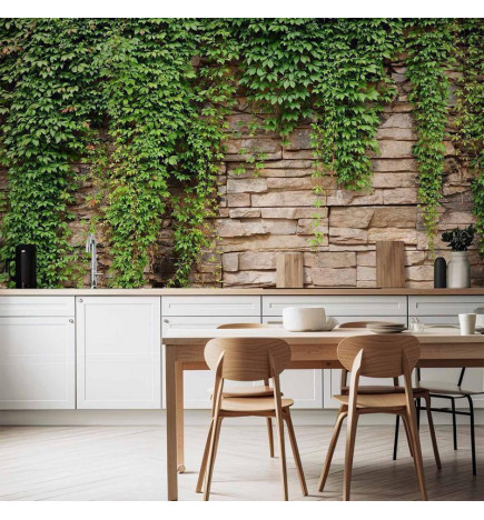 Carta da parati - Ivy wall