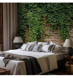 Fotobehang - Ivy wall