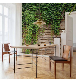 Foto tapete - Ivy wall
