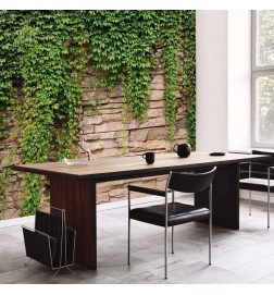 Fototapeet - Ivy wall