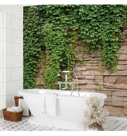 Fototapeta - Ivy wall