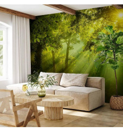 Wall Mural - In a Secret Forest