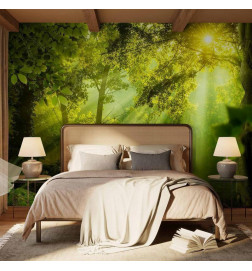 Mural de parede - In a Secret Forest