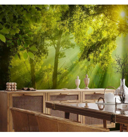 Carta da parati - In a Secret Forest