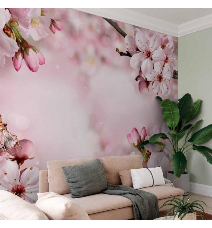 Fotomural - Spring Cherry Blossom