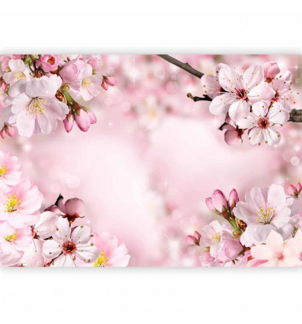 Fototapeet - Spring Cherry Blossom