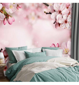 Foto tapete - Spring Cherry Blossom