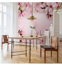 Fototapetas - Spring Cherry Blossom