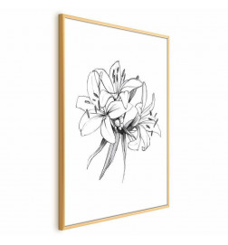 Poster - Drawn Flowers