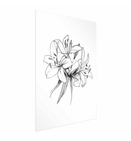 Juliste - Drawn Flowers