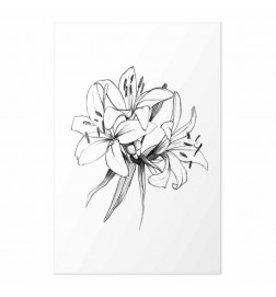 Juliste - Drawn Flowers
