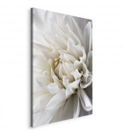 Schilderij - White Dahlia