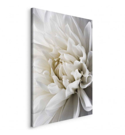 Schilderij - White Dahlia