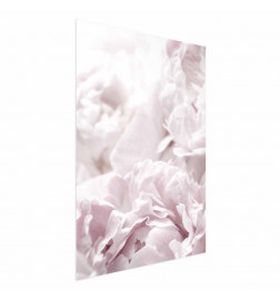 Plakat - Fluffy Peonies