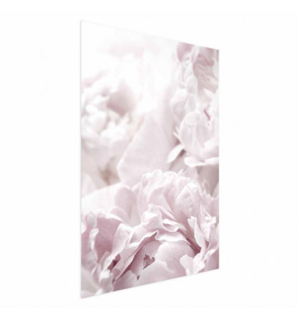 Poster - Fluffy Peonies