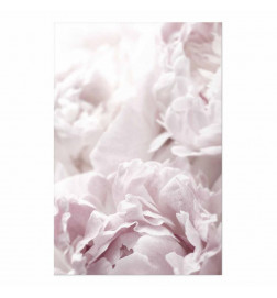 Poster - Fluffy Peonies