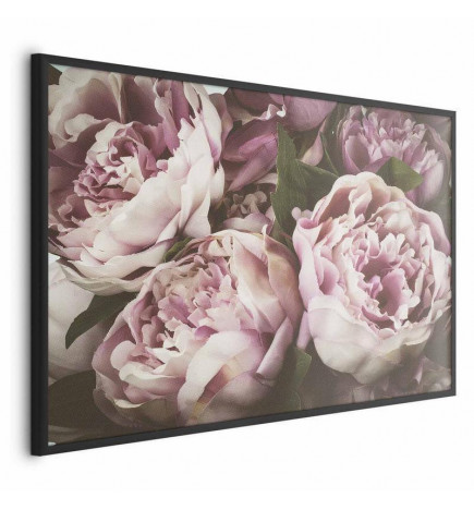 Poster - Pink Peonies