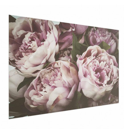 Poster - Pink Peonies