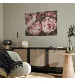 Poster - Pink Peonies