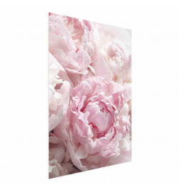 Plakatas - Morning Nostalgia