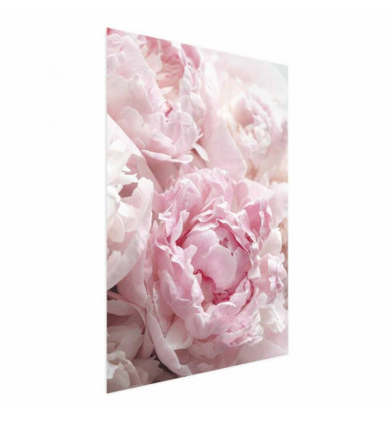 Plakatas - Morning Nostalgia