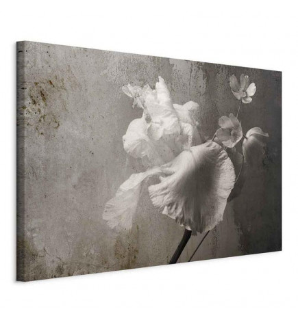 Quadro - Venetian Splendor (1 Part) Wide