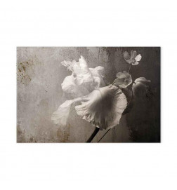 Quadro - Venetian Splendor (1 Part) Wide