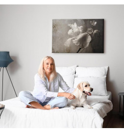 Taulu - Venetian Splendor (1 Part) Wide